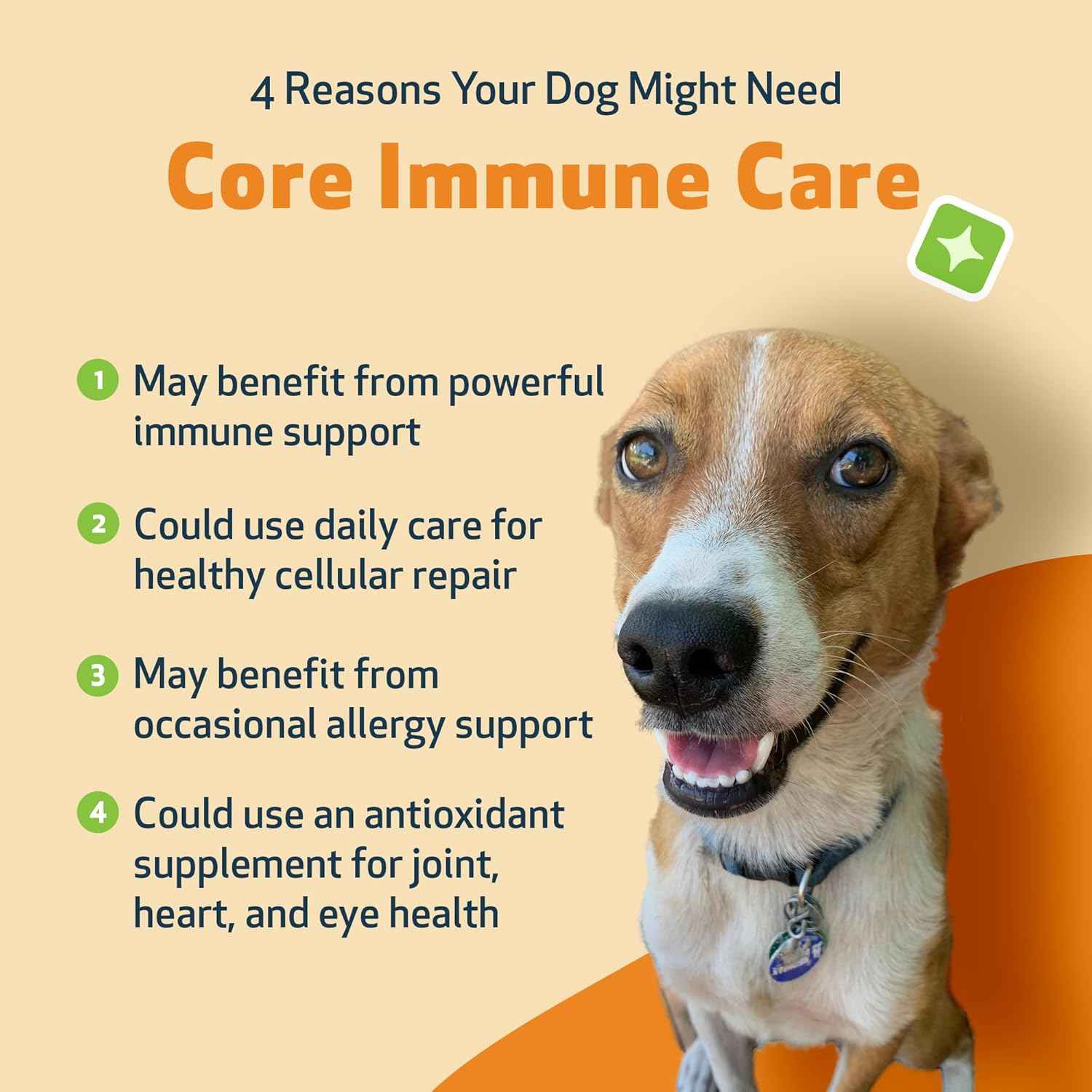 Core Immune Care for Immune Boost - Drake Dog Cancer Foundation