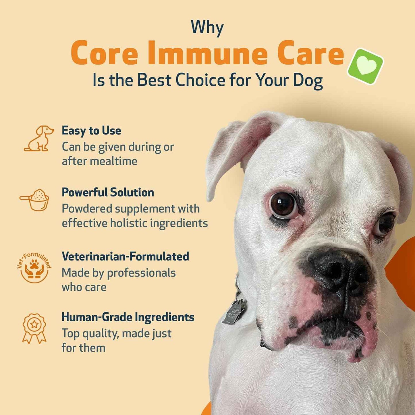 Core Immune Care for Immune Boost - Drake Dog Cancer Foundation