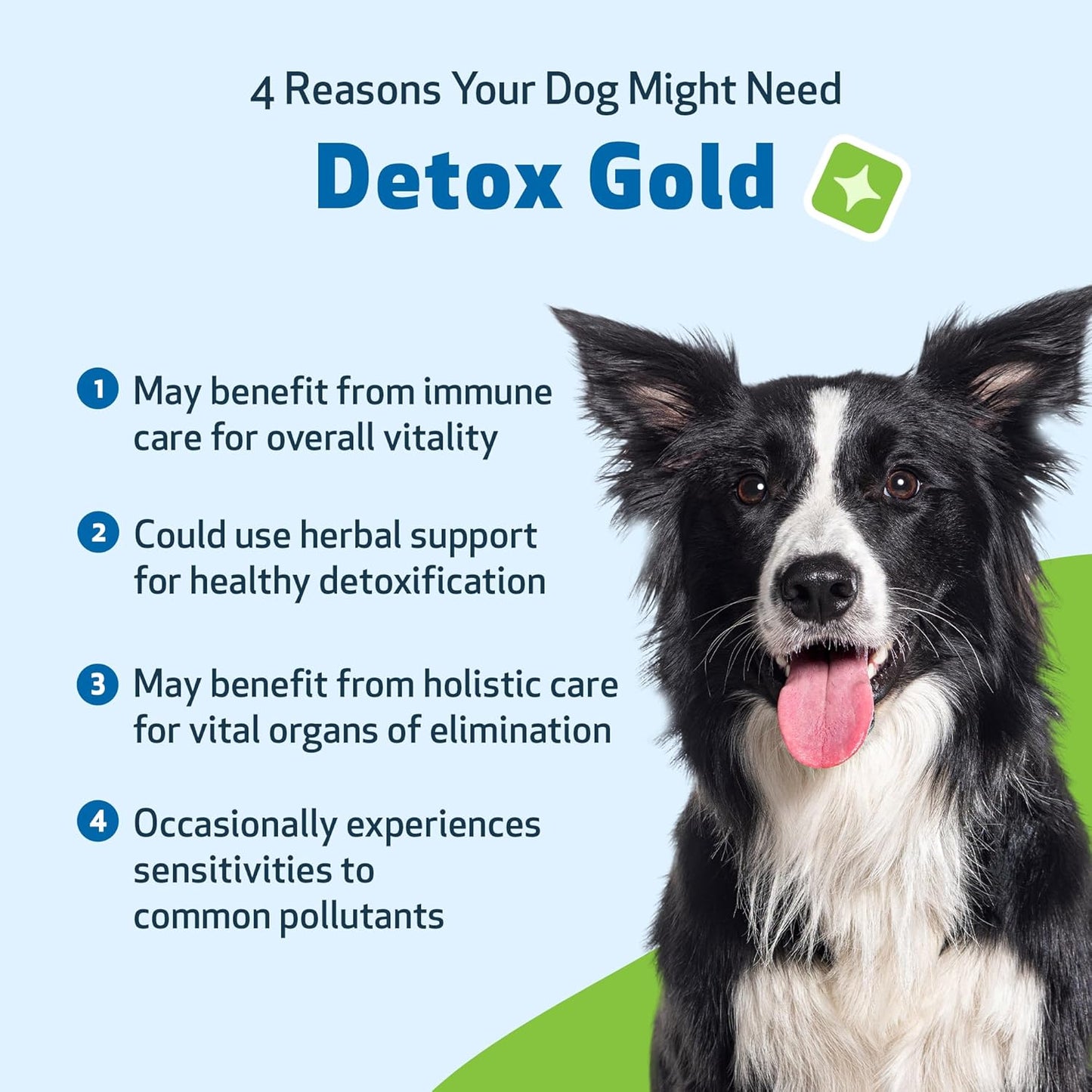 Detox Gold for Healthy Detox & Elimination - Drake Dog Cancer Foundation