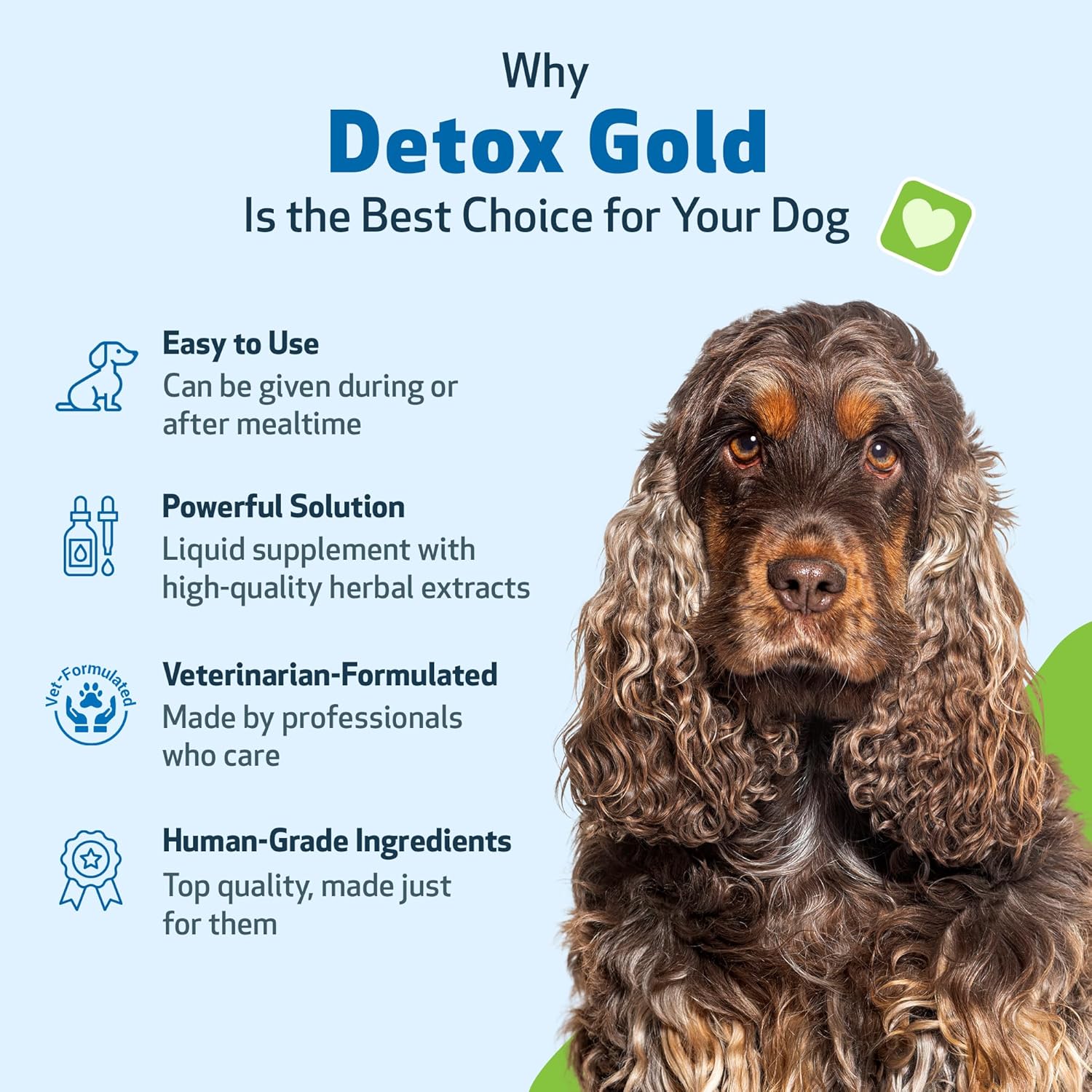 Detox Gold for Healthy Detox & Elimination - Drake Dog Cancer Foundation