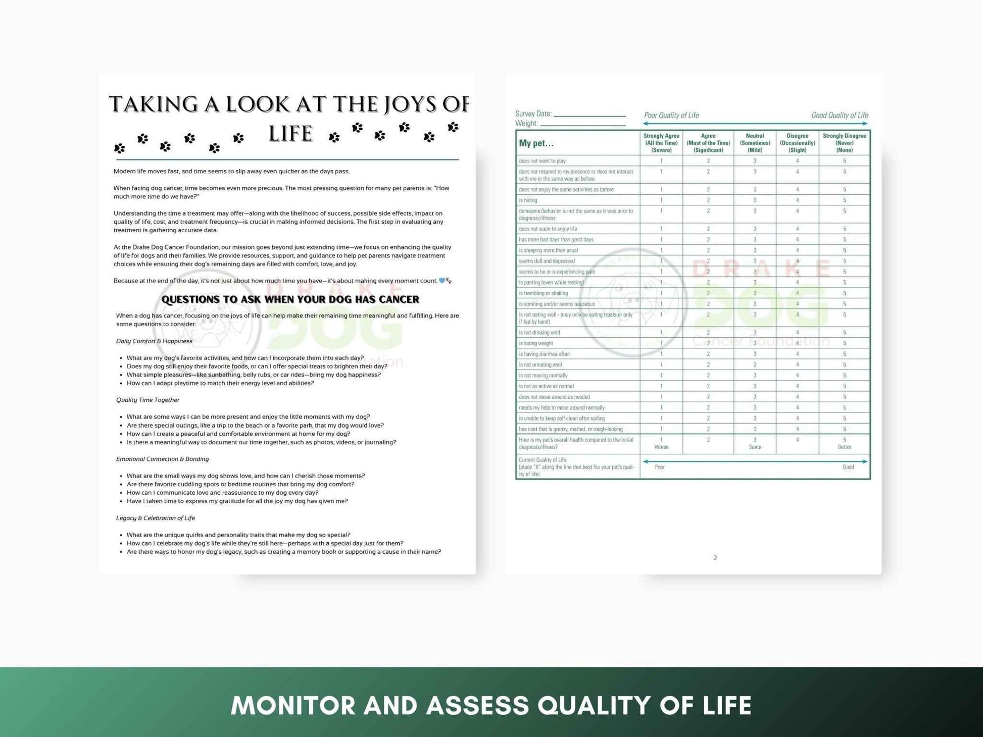 Dog Quality of Life Assessment | Printable Pet Health Tracker