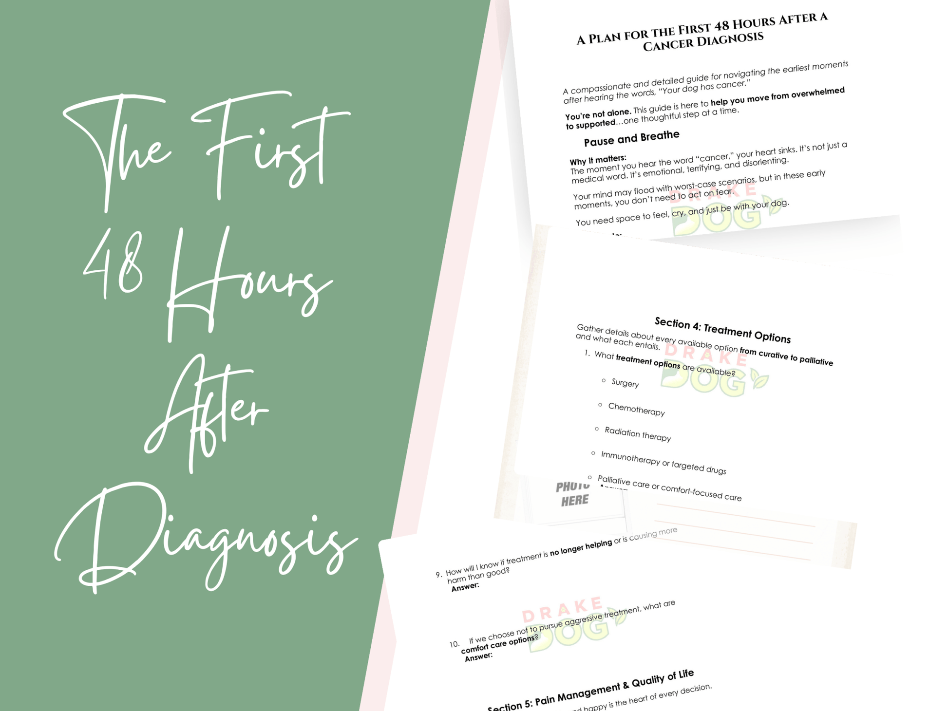 Dog Cancer Diagnosis Survival Kit: 6 Guides & Templates for the First 48 Hours - Drake Dog Cancer Foundation