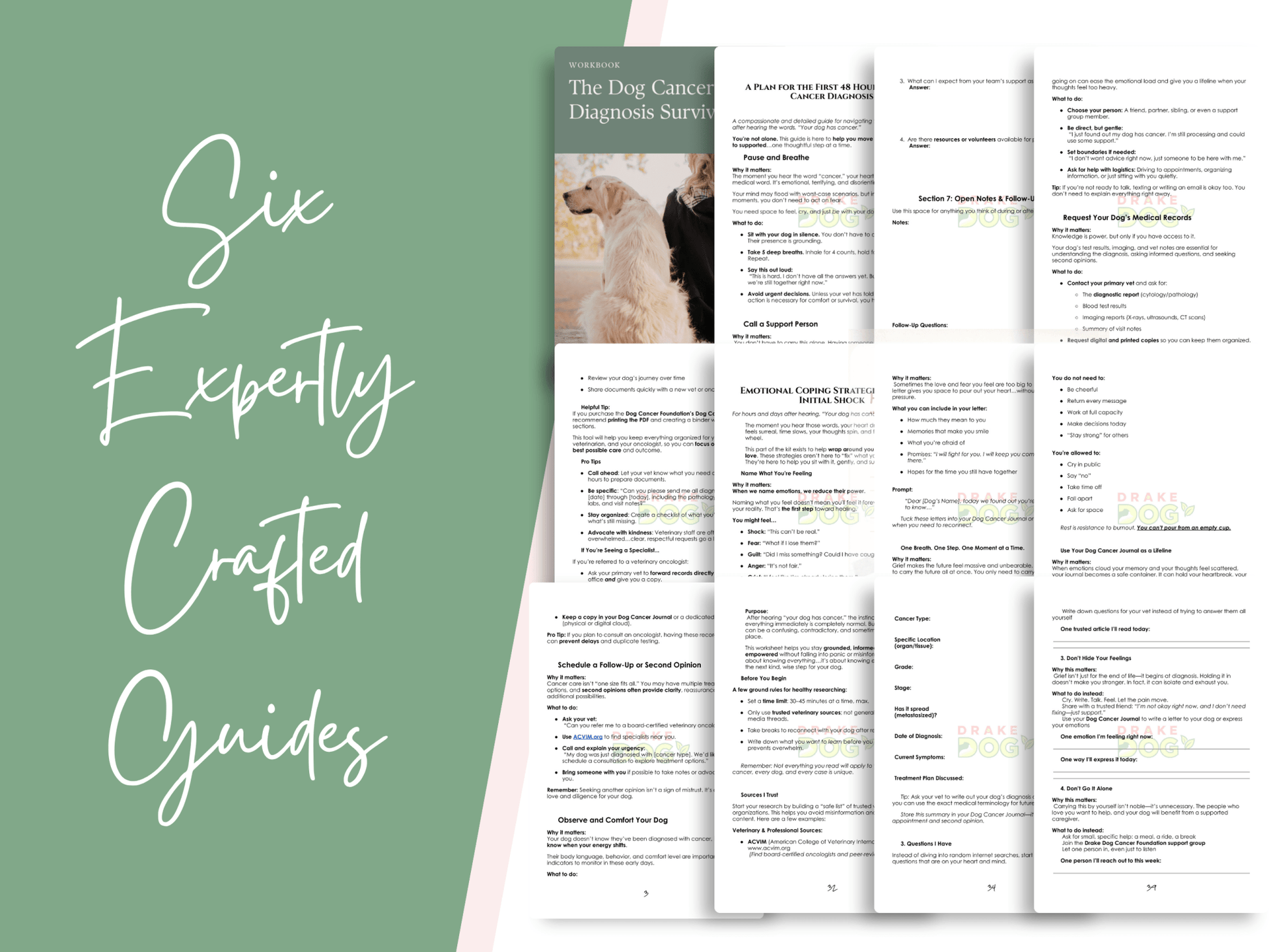 Dog Cancer Diagnosis Survival Kit: 6 Guides & Templates for the First 48 Hours - Drake Dog Cancer Foundation