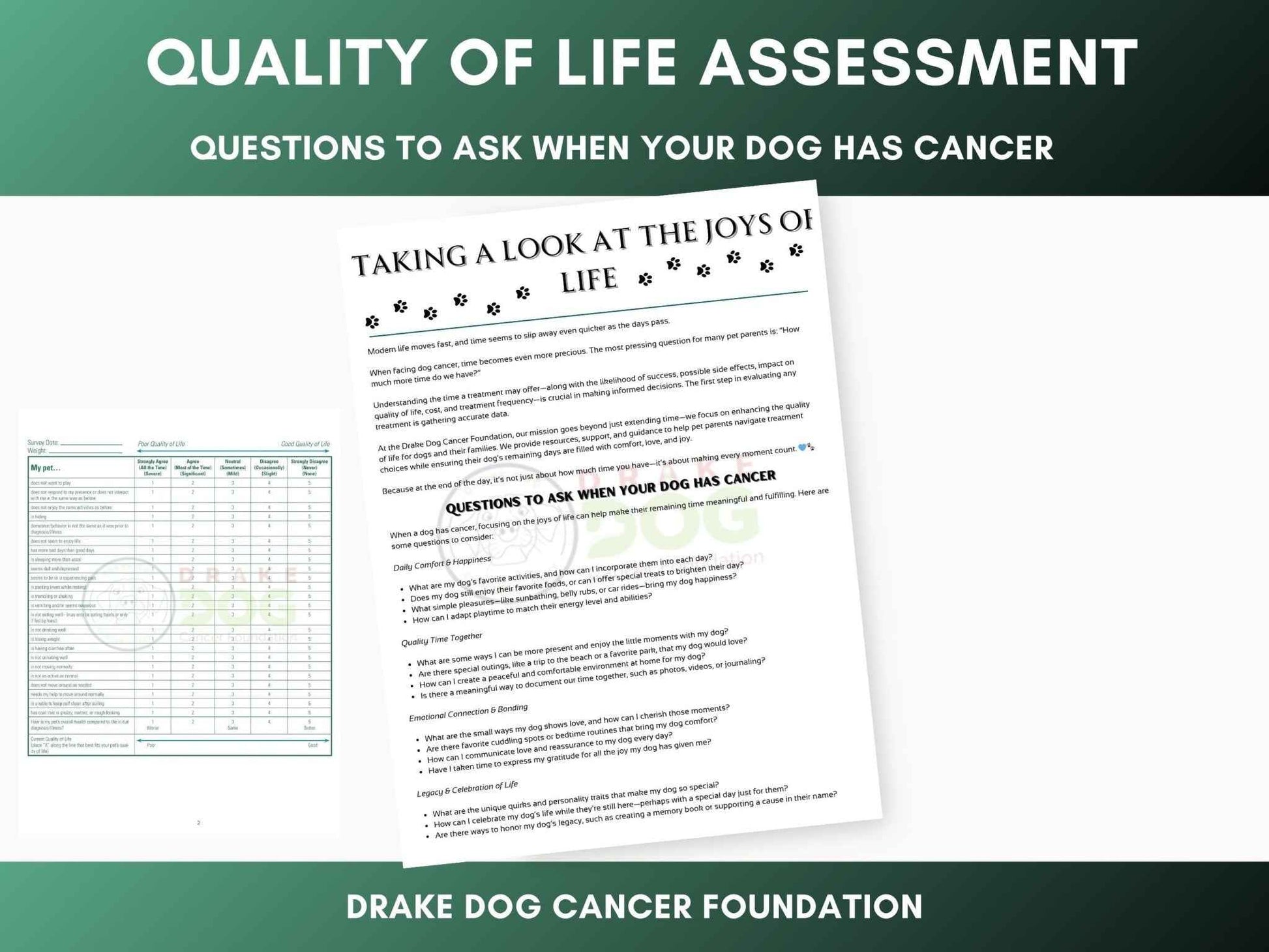 Dog Quality of Life Assessment | Printable Pet Health Tracker