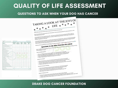 Dog Quality of Life Assessment | Printable Pet Health Tracker