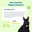 Kidney Support Gold for Kidney Disease - Drake Dog Cancer Foundation