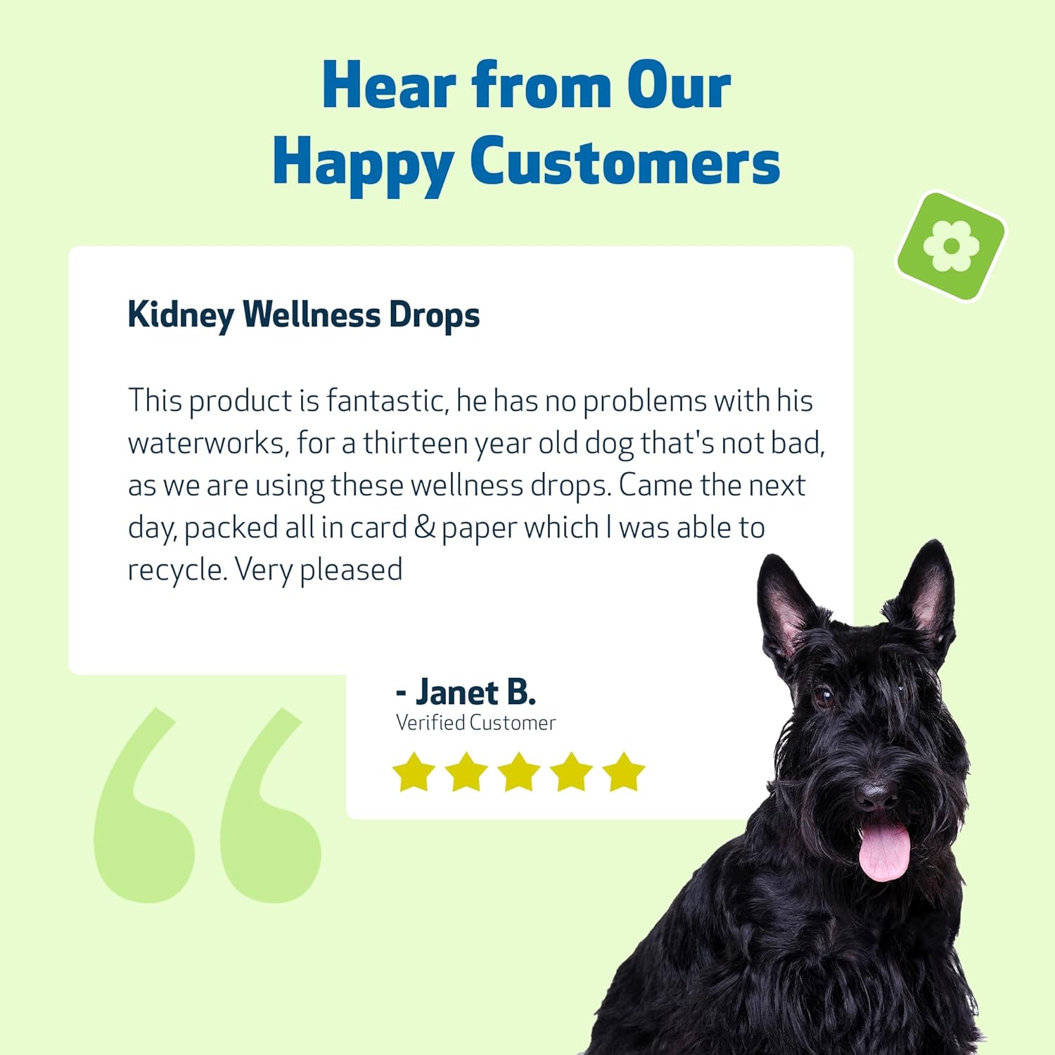 Kidney Support Gold for Kidney Disease - Drake Dog Cancer Foundation