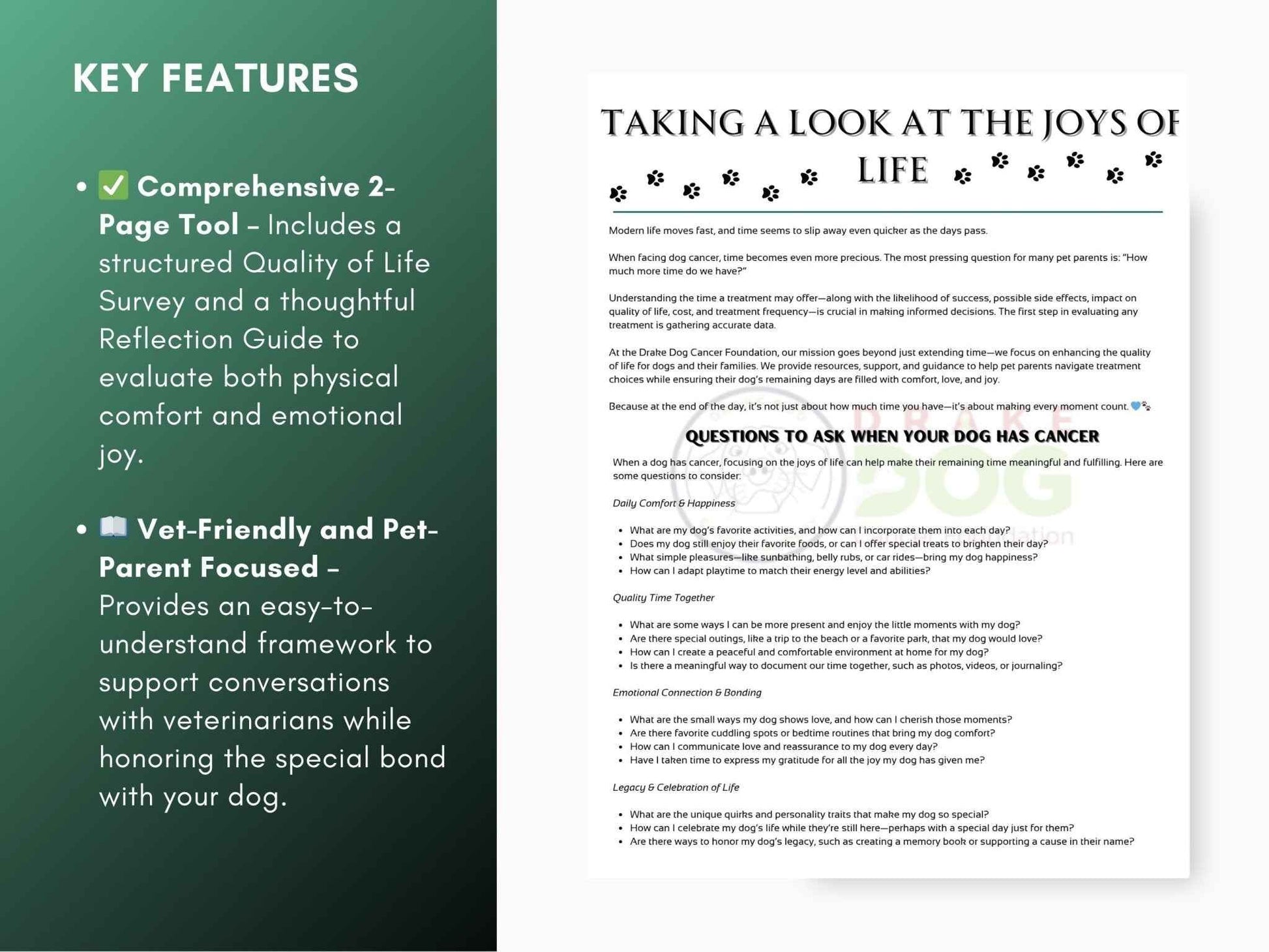 Dog Quality of Life Assessment | Printable Pet Health Tracker