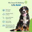 Life Gold - Drake Dog Cancer Foundation