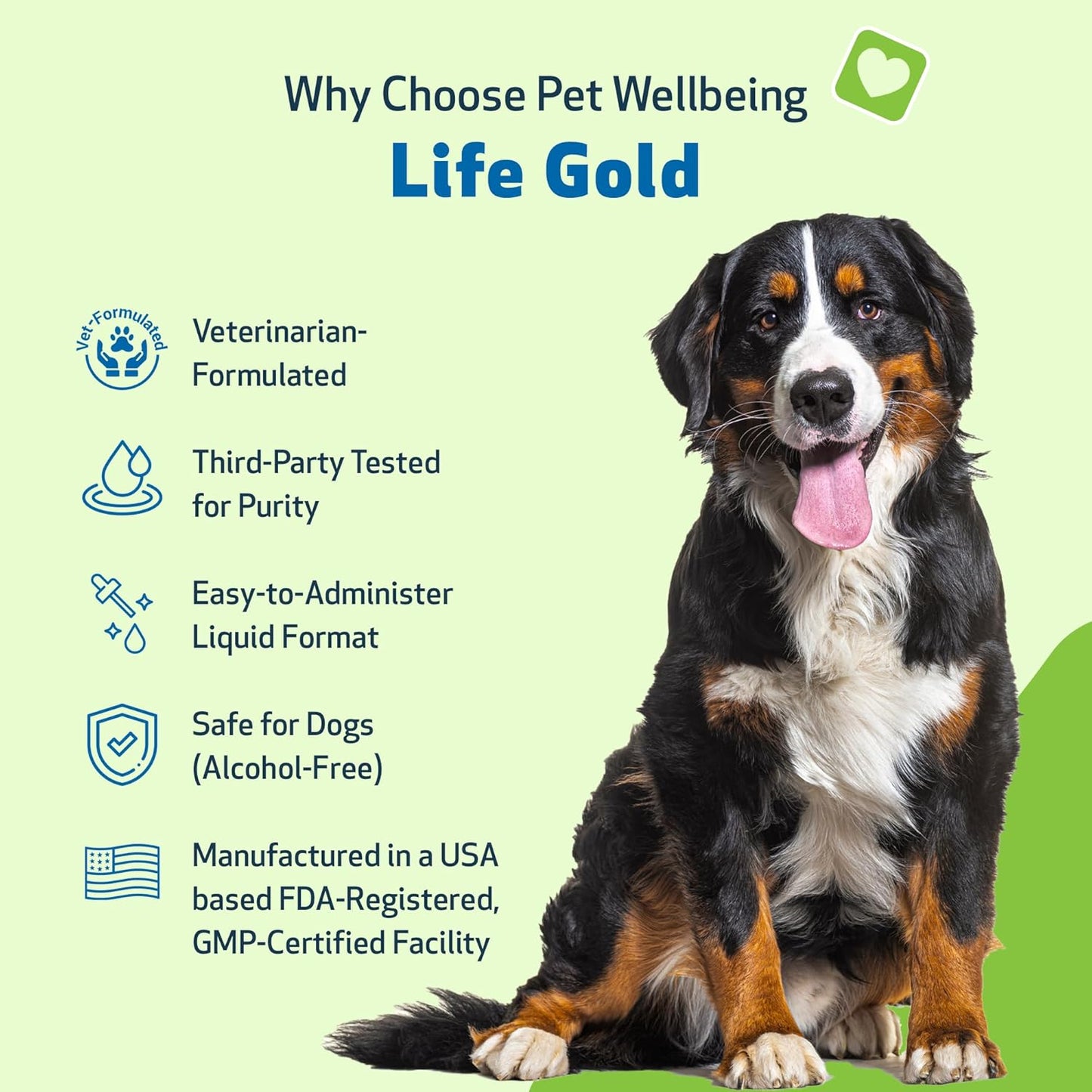 Life Gold - Drake Dog Cancer Foundation