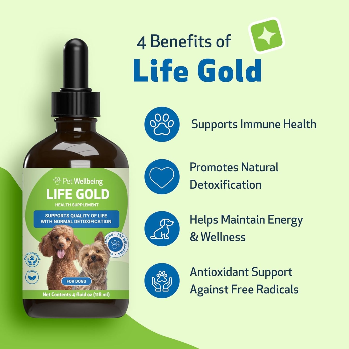 Life Gold - Drake Dog Cancer Foundation