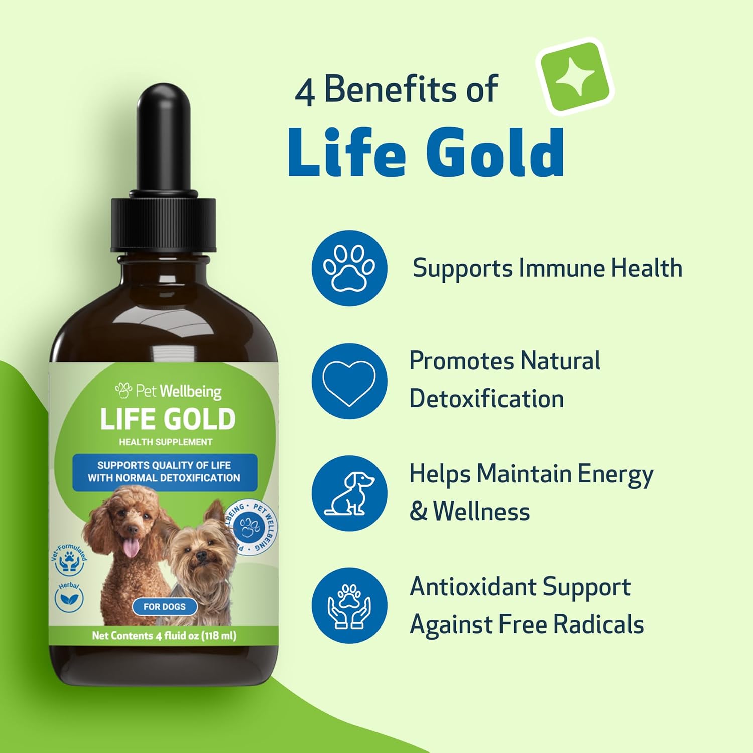 Life Gold - Drake Dog Cancer Foundation