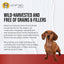 Vitality by Mycodog - Drake Dog Cancer Foundation