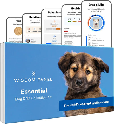 Wisdom Health Essential Dog DNA Kit - Drake Dog Cancer Foundation