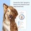 Wisdom Health Essential Dog DNA Kit - Drake Dog Cancer Foundation
