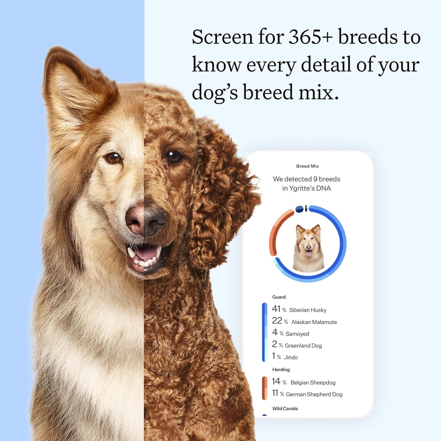 Wisdom Health Essential Dog DNA Kit - Drake Dog Cancer Foundation