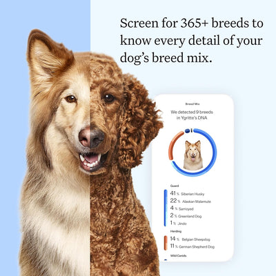 Wisdom Health Essential Dog DNA Kit - Drake Dog Cancer Foundation