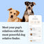 Wisdom Health Essential Dog DNA Kit - Drake Dog Cancer Foundation