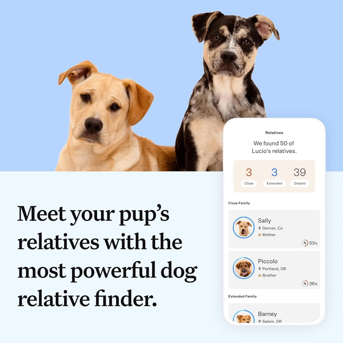 Wisdom Health Essential Dog DNA Kit - Drake Dog Cancer Foundation