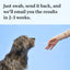 Wisdom Health Essential Dog DNA Kit - Drake Dog Cancer Foundation