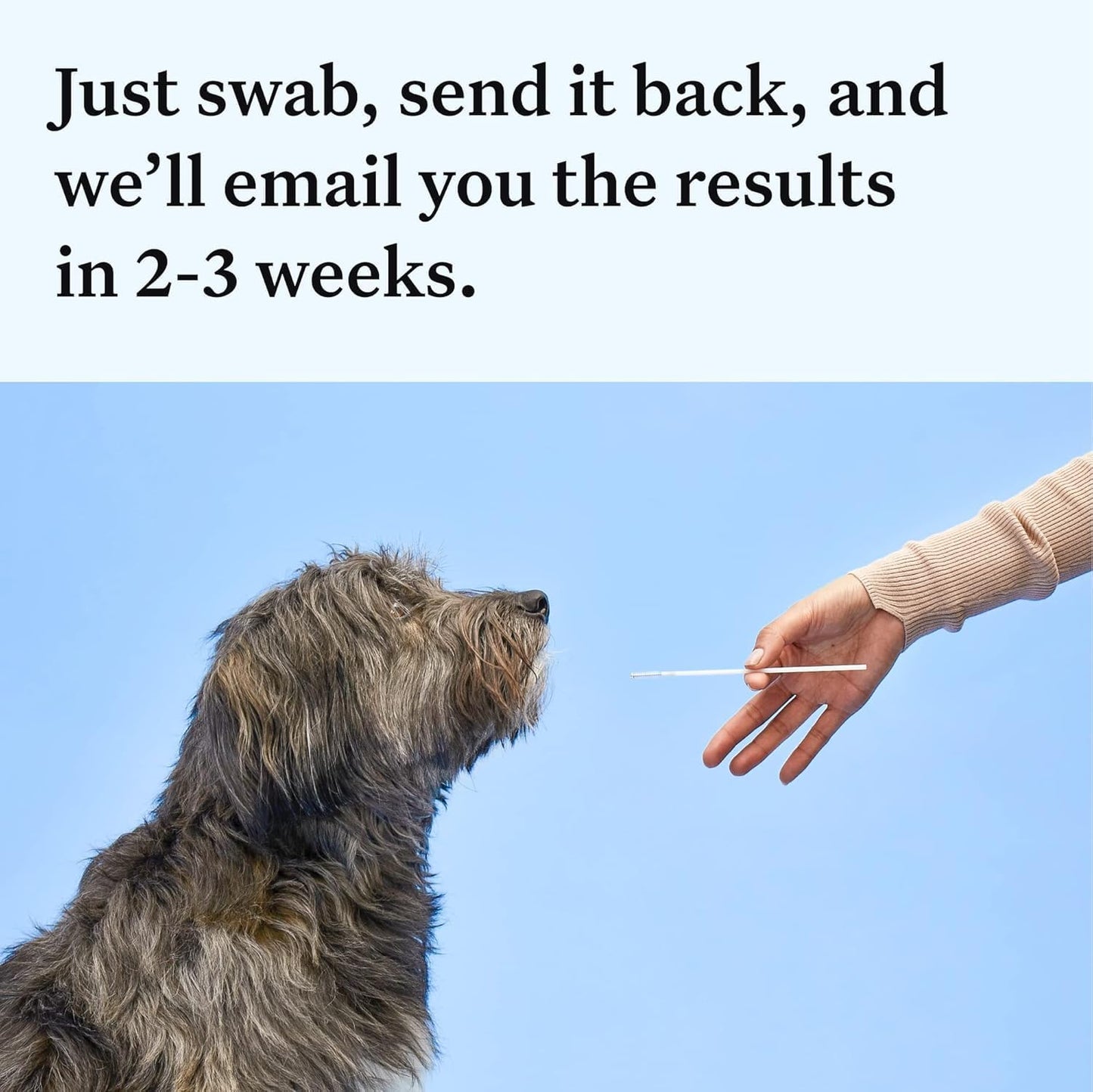 Wisdom Health Essential Dog DNA Kit - Drake Dog Cancer Foundation