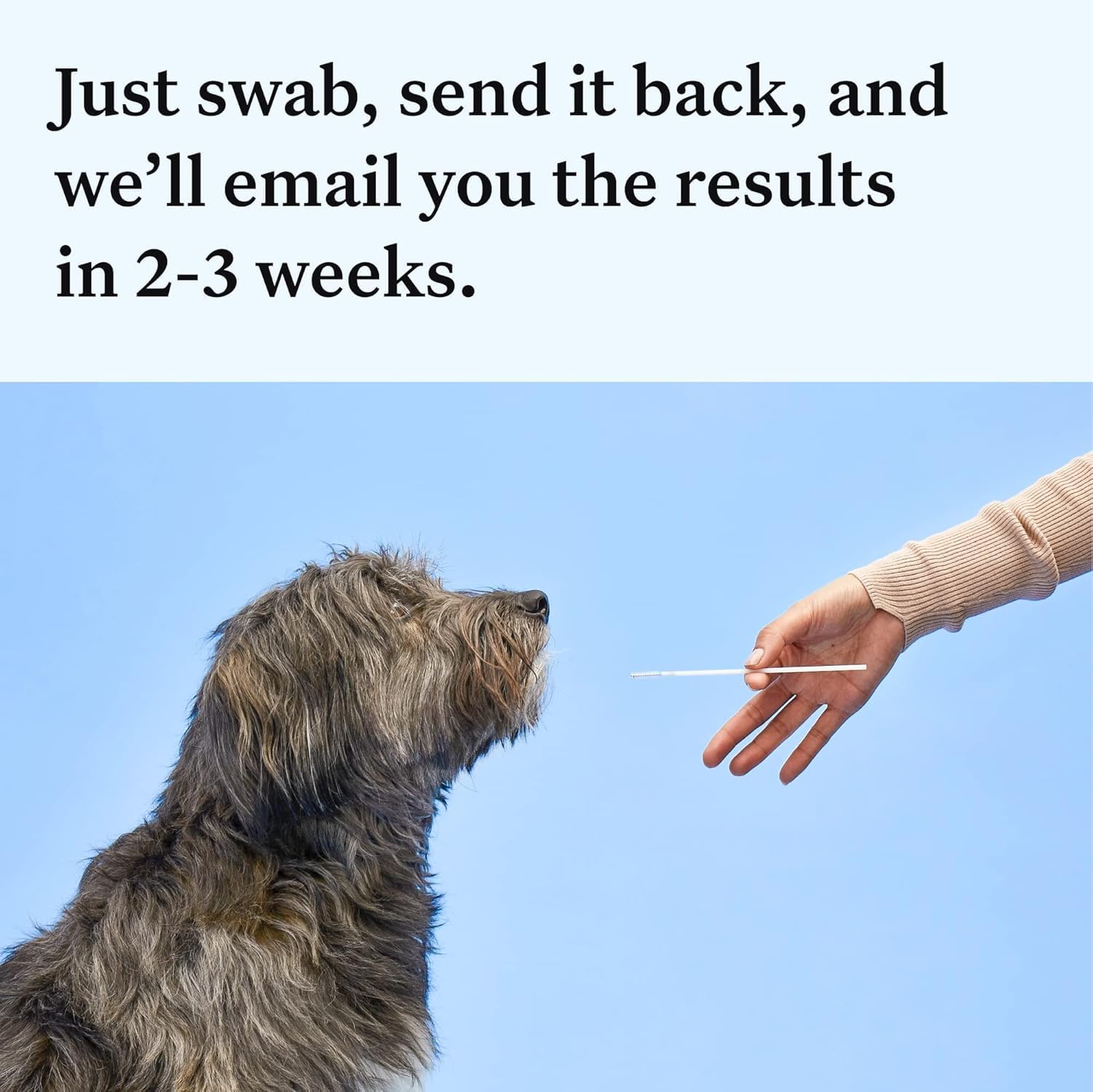 Wisdom Health Essential Dog DNA Kit - Drake Dog Cancer Foundation