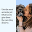 Wisdom Health Essential Dog DNA Kit - Drake Dog Cancer Foundation