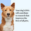 Wisdom Health Essential Dog DNA Kit - Drake Dog Cancer Foundation