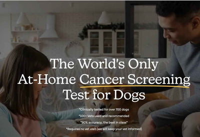 Oncotect At-Home Dog Cancer Test
