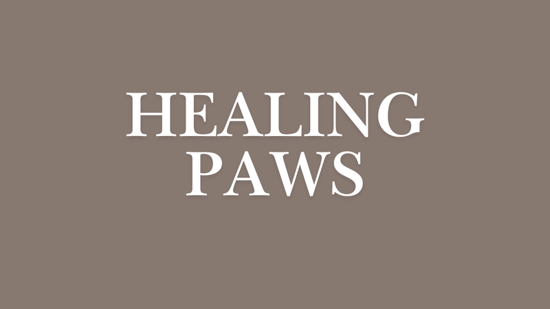 Healing Paws