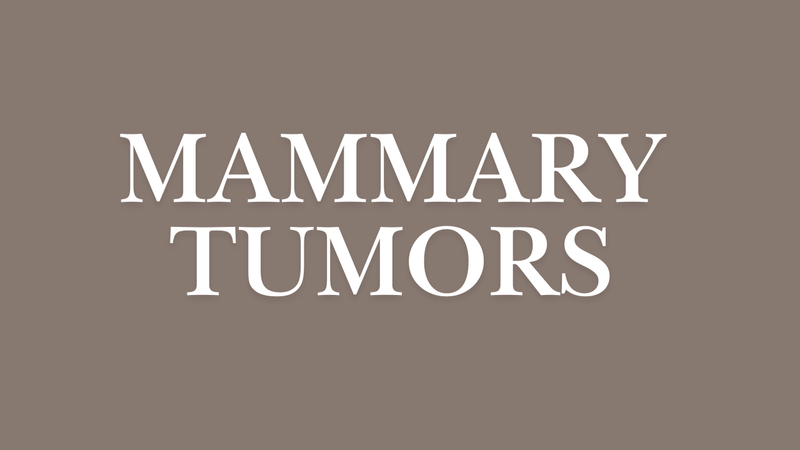 Mammary Tumors