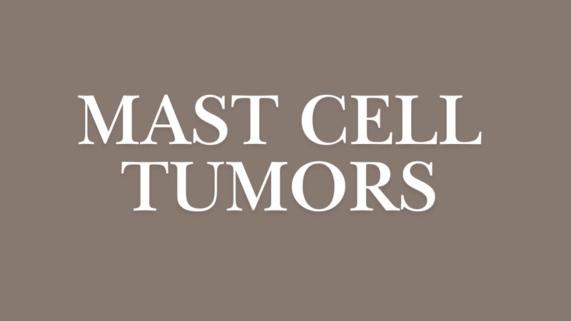 Mast Cell Tumors