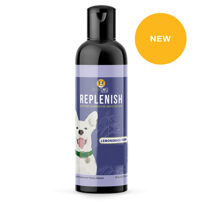 Replenish Dog Shampoo for Skin Health - Drake Dog Cancer Foundation